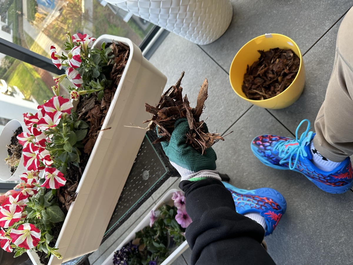 The balcony garden taking shape