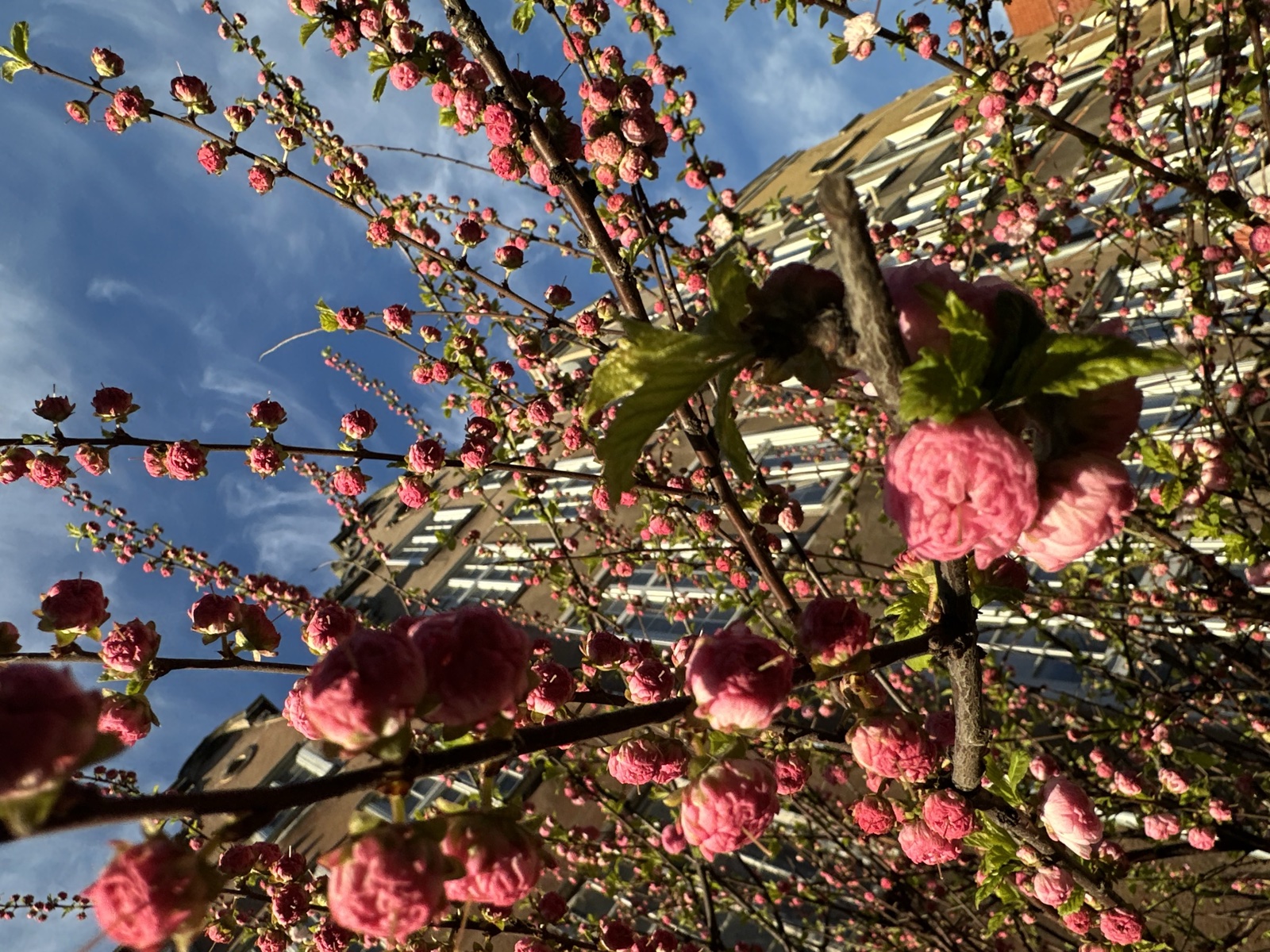 Gdańsk Główny station, the departure point